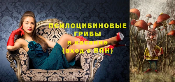 а пвп мука Алексин