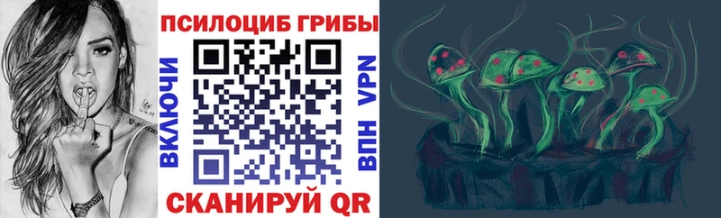 Псилоцибиновые грибы MAGIC MUSHROOMS  купить закладку  Боготол 